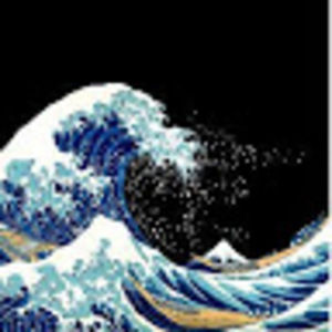 Meet your Posher, Kira